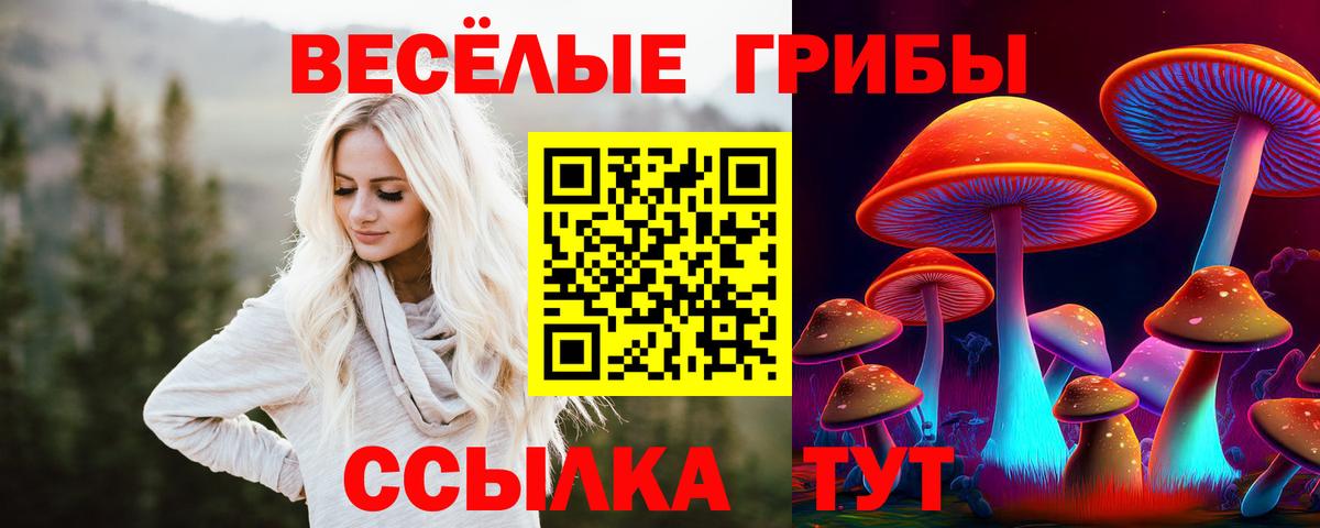 Галлюциногенные грибы мухоморы Красноармейск
