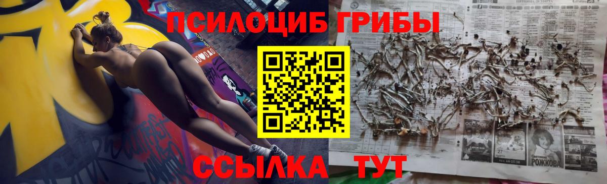 Галлюциногенные грибы прущие грибы  Вход с VPN  Галлюциногенные грибы ЛСД  Красноармейск 